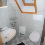 Iii