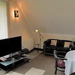 Iii